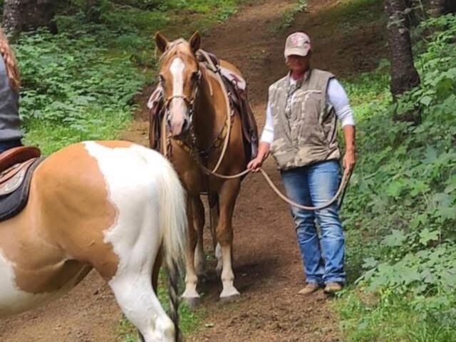 My Journey: How Tallow Changed Everything